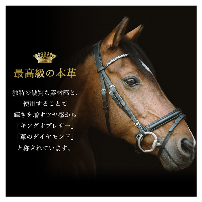 【Leo&Aoi公式ショップ】 コードバン ペンケース 本革 筆箱 レザー ペン入れ 馬革 ホースレザー コンパクト 薄型 スリム 文具 筆記用具 ふで箱 収納 革 高級 ペン ケース メンズ レディース 【安心の返品保証付き】