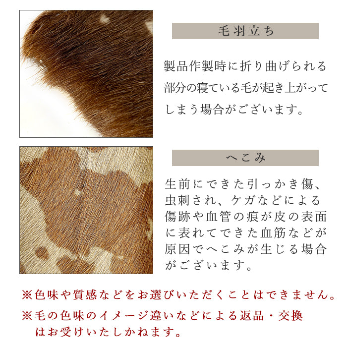 【Leo&Aoi公式ショップ】 ダルメシアン コインケース ラウンドファスナー 本革 コンパクト 小物入れ 牛革 ハラコ風 ポーチ 小型財布 小銭入れ 革 高級 レザー ケース アニマル柄 ダルメシアン柄【安心の返品保証付き】