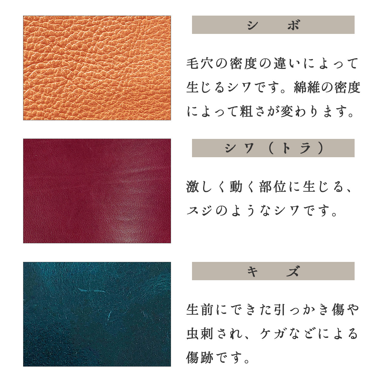 ジェントルマン 本革 ボックス型 コインケース 牛革 小銭入れ メンズ レディース 革 コンパクト スリム 薄型 ケース レザー ヌメ革 シンプル ボックス型コインケース