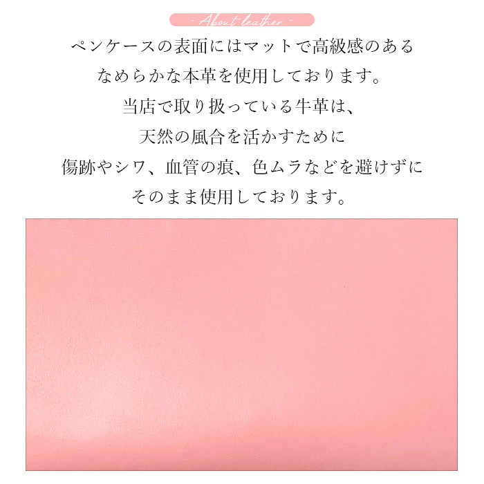 パステル ペンケース 本革 筆箱 レザー ペン入れ コンパクト スリム 文具 筆記用具 ふで箱 収納 革 牛本革 牛革 上品 かわいい お洒落 高級 ペン ケース パステルカラー