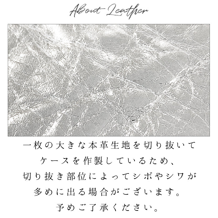 【Leo&Aoi公式ショップ】 メタリック ペンケース 本革 筆箱 レザー ペン入れ コンパクト スリム 文具 筆記用具 ふで箱 収納 革 上品 華やか お洒落 高級 メタリックレザー 牛革 ペン ケース 【安心の返品保証付き】